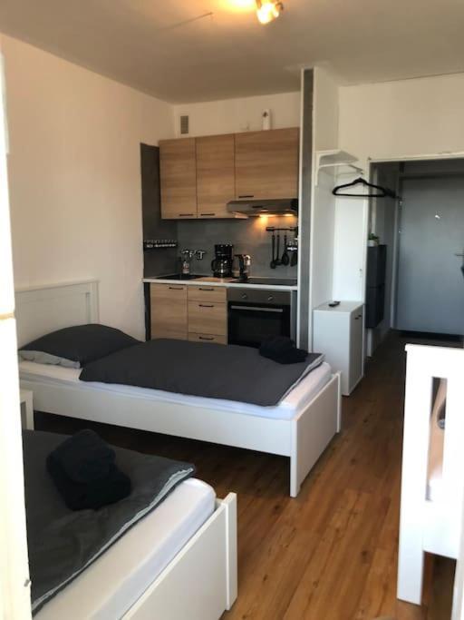 Zentrales Studio-Apartment In Linz, Arbeiter-Hit Exterior foto